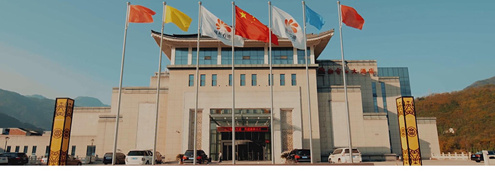 旅游景区宣传片拍摄,酒店拍摄的经验(0005)