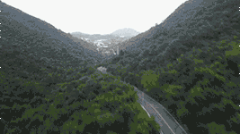 文章附图