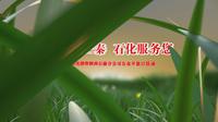 中国石化销售陕西石油分公司公众开放日开幕宣传片顺利交付