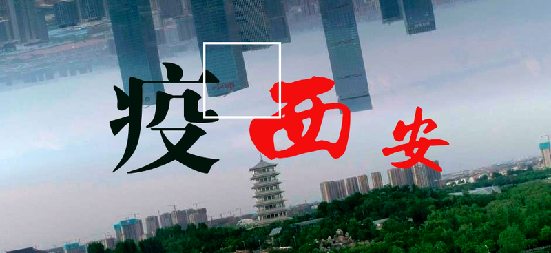 puzzle (1) 拷贝.jpg